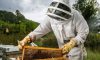 Beekeeper Jacket Cleaning and Caring Tips